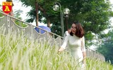 Điều kỳ diệu bên bờ sông Tô Lịch